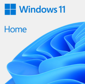windows11